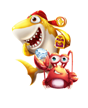 云南省金华市BOB·半岛